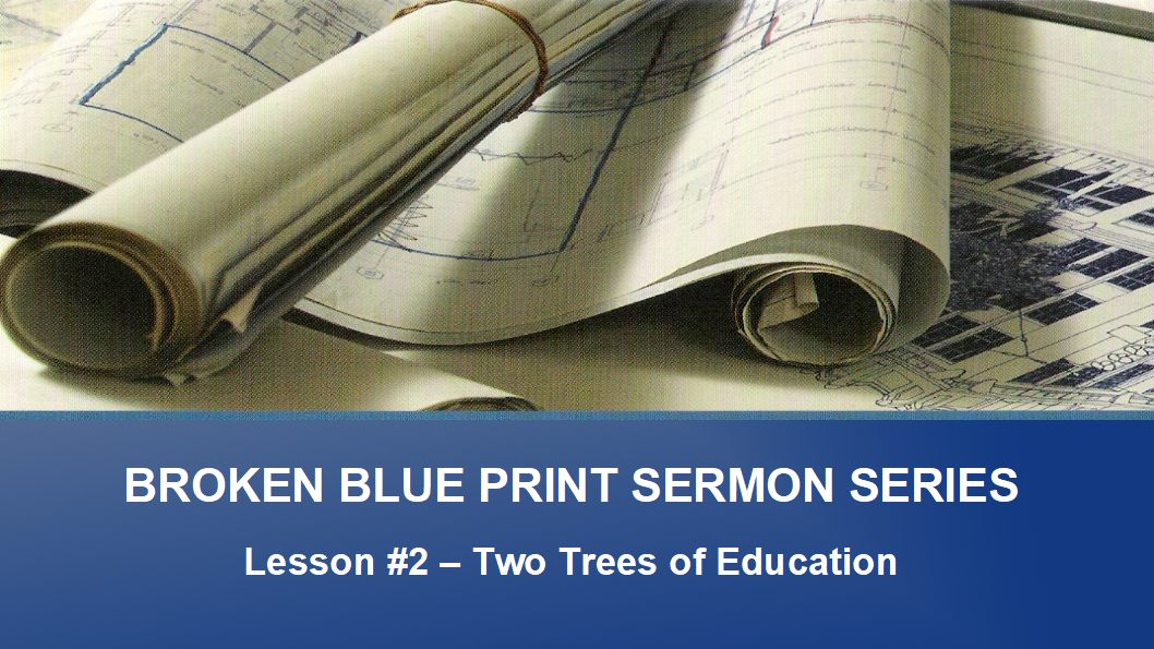 2 Two Trees of education Broken Blueprint Sermon Series