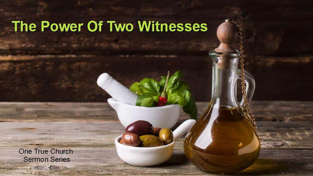 9 5 1 21 The Power of Two Witnesses One True Church Series pic