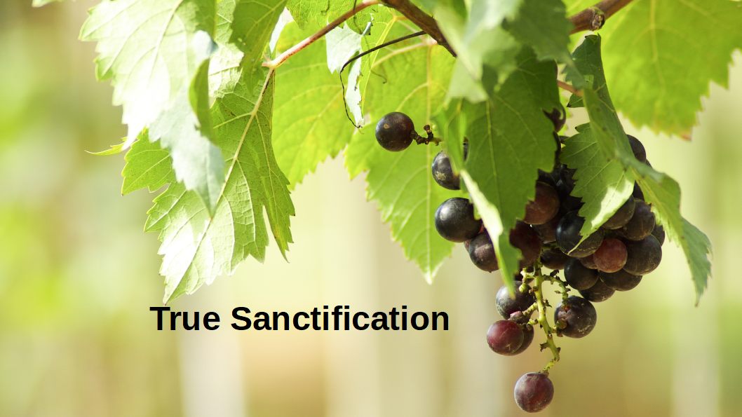 4 True Sanctification